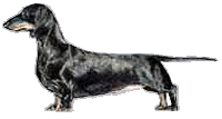 dachshund.gif (8241 bytes)